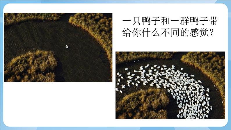 湘美版二年级美术上册 11.点点聚会 课件第8页