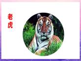 人教版美術(shù)二上：第6課《花花衣》課件+教案