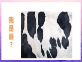 人教版美術(shù)二上：第6課《花花衣》課件+教案