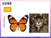 人教版美術(shù)二上：第8課《對(duì)印的圖形》課件+教案