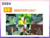 人教版美術(shù)二上：第9課《蜻蜓飛飛》課件