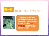 人教版美術(shù)二上：第9課《蜻蜓飛飛》課件