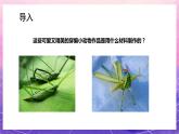 人教版美術(shù)四上：第16課《穿編的樂趣》課件+教案