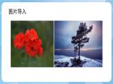 人美版美術(shù)四年級(jí)上冊(cè)：第2課《生活中的暖色》課件+教案