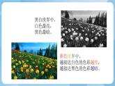 人美版美術(shù)五年級上冊：第11課《色彩的明度》課件+教案