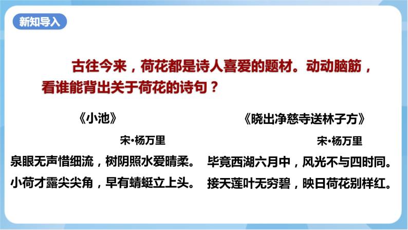 岭南版美术四年级上册11.《 美丽的荷塘》（课件+教案+素材）02