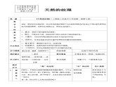 人教版美术三年级上册 9 《天然的纹理》教案