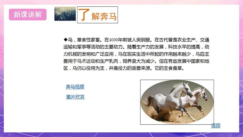 浙美版美术六年级上册1《徐悲鸿与奔马》课件第8页