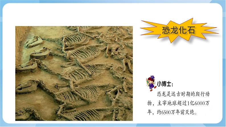 岭南版 小学美术二年级上册4.《 恐龙回来了》课件+教案+素材04