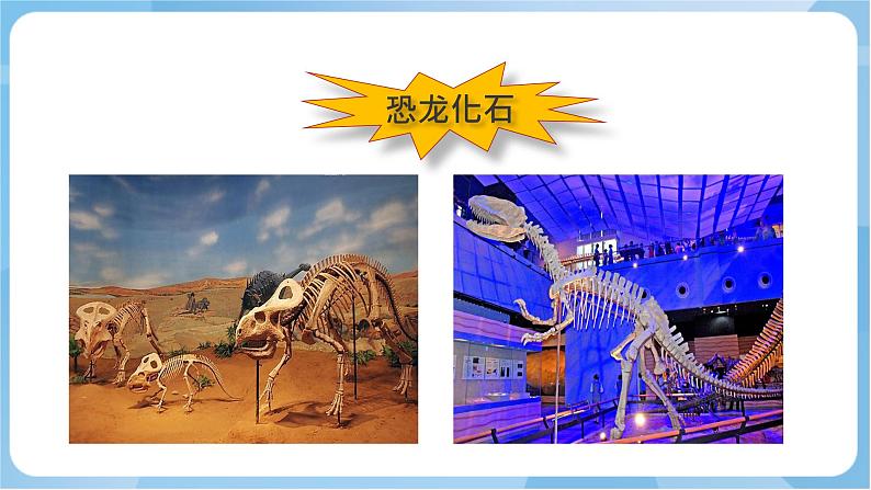 岭南版 小学美术二年级上册4.《 恐龙回来了》课件+教案+素材05