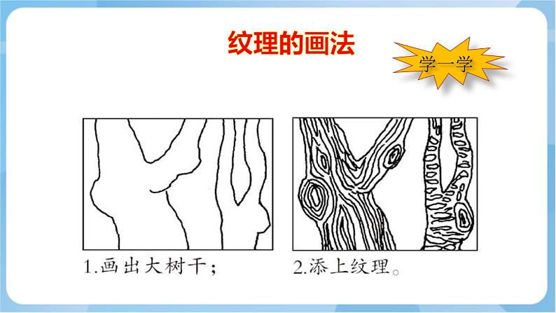 岭南版 小学美术二年级上册8.《给树爷爷画像》 (课件+教案+素材)08
