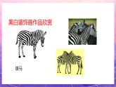 人教版美術(shù)三上：第6課《黑與白》課件+教案