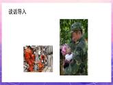 人教版美術(shù)三上：第19課《美術(shù)小記者》課件+教案