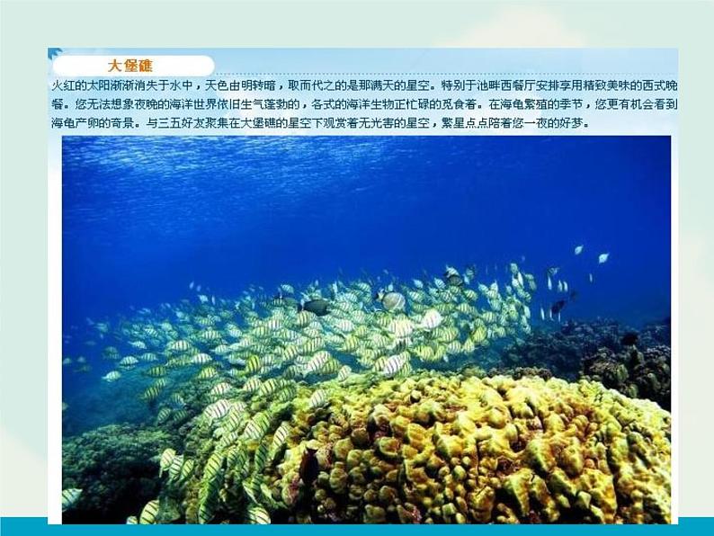 《探访自然的奇观》教学课件第4页