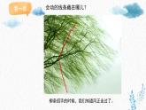 小學美術人美版三年級下冊《會動的線條》精品課件
