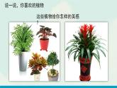 小學美術(shù)四年級下冊《植物寫生》精品同步課件