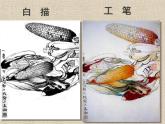 第17课蔬果白描 课件 人美版（北京） 五年级上册美术