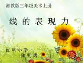 湖南美術(shù)出版社小學(xué)美術(shù)三年級上冊 5. 線的表現(xiàn)力(3)課件PPT