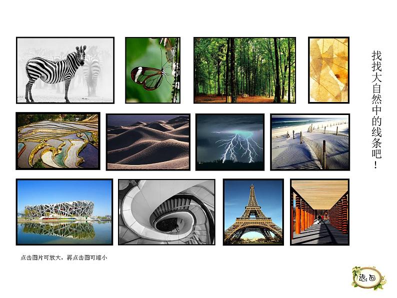 湖南美术出版社小学美术三年级上册 5. 线的表现力(3)课件PPT03