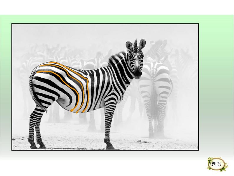 湖南美术出版社小学美术三年级上册 5. 线的表现力(3)课件PPT04