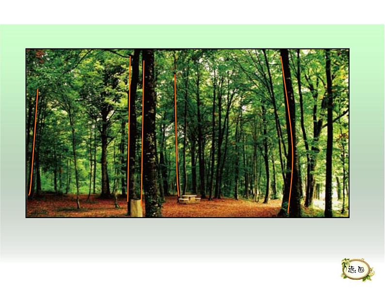 湖南美术出版社小学美术三年级上册 5. 线的表现力(3)课件PPT06