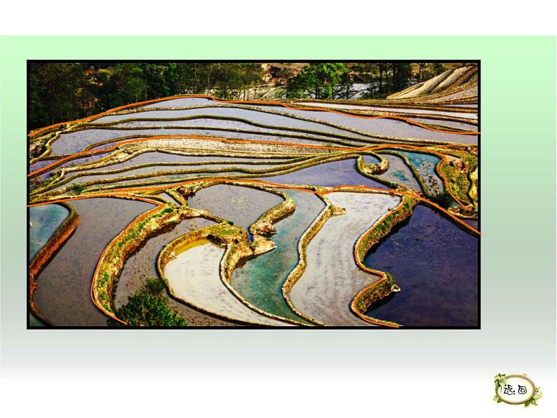 湖南美术出版社小学美术三年级上册 5. 线的表现力(3)课件PPT08