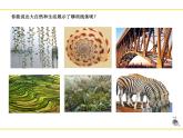 湖南美術(shù)出版社小學(xué)美術(shù)三年級上冊 5. 線的表現(xiàn)力(5)課件PPT