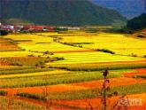 湖南美術(shù)出版社小學(xué)美術(shù)三年級上冊 11. 留住秋天(1)課件PPT