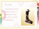 各式各样的鞋课件PPT