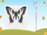 人教美術(shù)二上《8、對(duì)印的圖形》課件與演示視頻