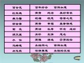 16生活和作品中的花课件PPT
