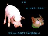 10有趣的蛋壳造型课件PPT