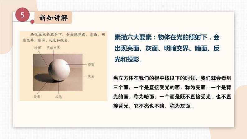人教版小学美术第一课 明暗与立体 课件第8页