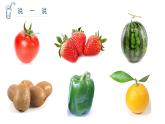 湖南美術(shù)出版社小學美術(shù)三年級上冊 6. 新發(fā)現(xiàn)(1)課件PPT