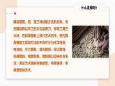 人教版小學(xué)美術(shù)第四課 雕與刻的樂趣 課件