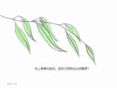 人美版 美術(shù)四年級上冊 第1課 四季的色彩(5) 課件