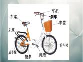 湘美版三下美術(shù)《 一路輕騎》課件3
