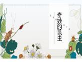 【核心素养】浙美版1下美术第19课《奇妙的昆虫》课件+教学设计（含教学反思）