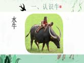 【核心素养】浙美版1下美术第17课《大牛和小牛》课件+教学设计（含教学反思）