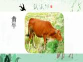 【核心素养】浙美版1下美术第17课《大牛和小牛》课件+教学设计（含教学反思）
