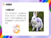 湘美版美术二年级下册 4 《动物聚会》课件