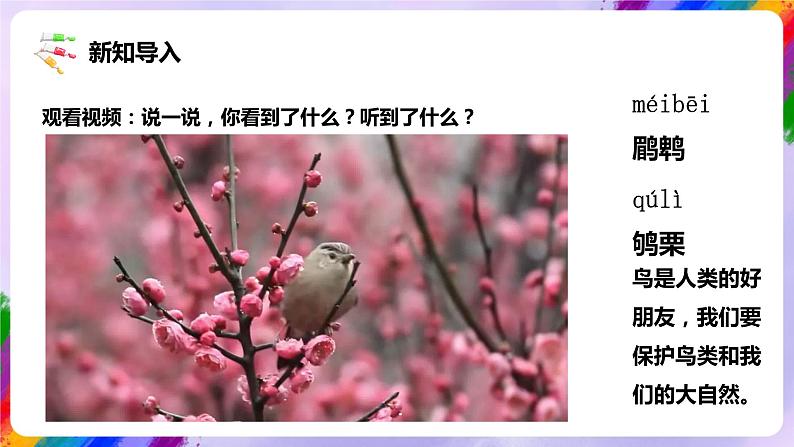 【核心素养】人美版美术五年级下册1.14《花鸟画（二）》课件+教案+素材05