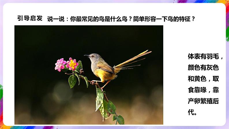 【核心素养】人美版美术五年级下册1.14《花鸟画（二）》课件+教案+素材06