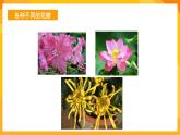 嶺南版美術(shù)二年級下冊2.5《美麗的花園》課件