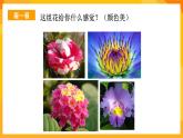 嶺南版美術(shù)二年級下冊2.5《美麗的花園》課件