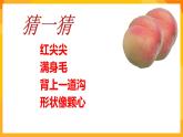 嶺南版美術(shù)二年級(jí)下冊3.1《水果大聚會(huì)》課件+教案