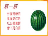 嶺南版美術(shù)二年級(jí)下冊3.1《水果大聚會(huì)》課件+教案