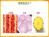 嶺南版美術(shù)二年級(jí)下冊3.7《切開的果實(shí)》課件
