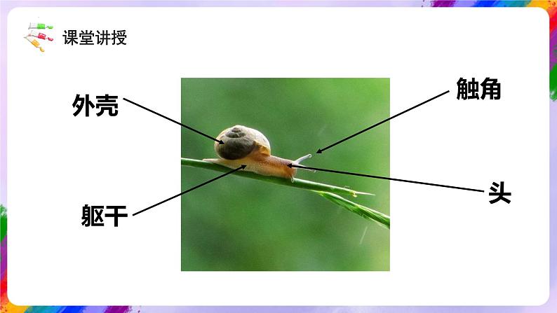 湘美版美术二年级下册11《小蜗牛慢慢爬》课件06