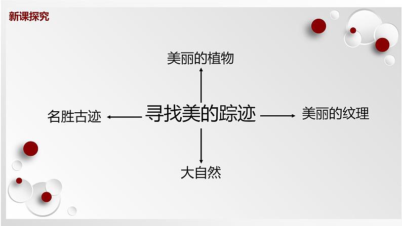 人教版美术六下第2课 寻找美的踪迹 课件第7页